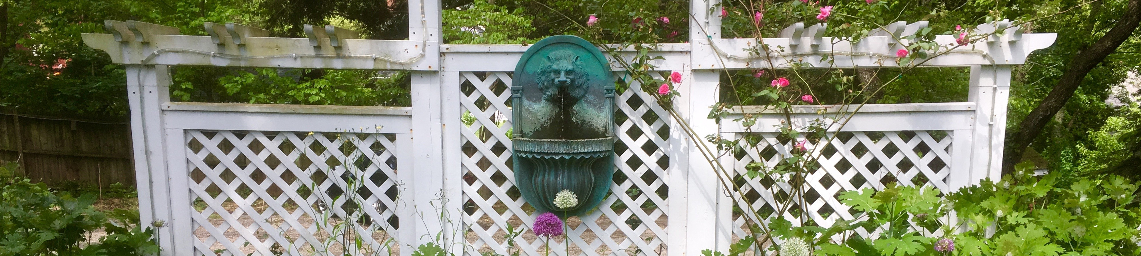 Photo of the Lower garden