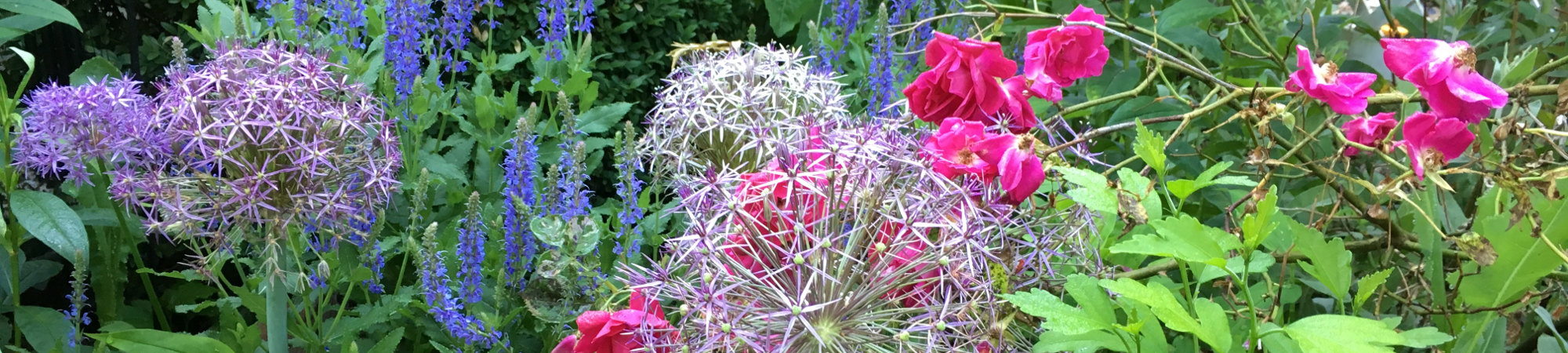 Oriental Garden at Abbington Green