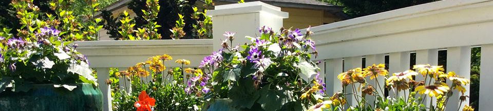 Photo of porch at Abbington Green